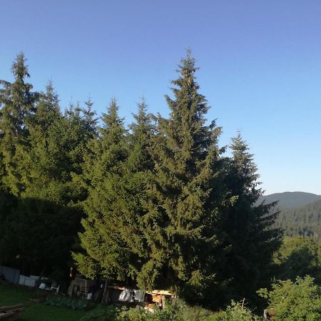 Kuca Za Odmor "Jasna" Apartment Crni Lug Luaran gambar