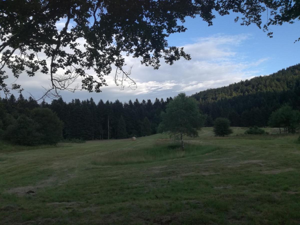 Kuca Za Odmor "Jasna" Apartment Crni Lug Luaran gambar