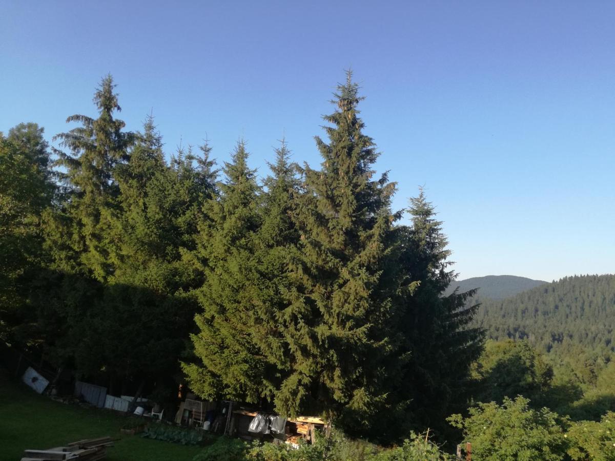 Kuca Za Odmor "Jasna" Apartment Crni Lug Luaran gambar