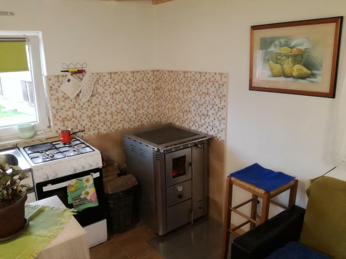 Kuca Za Odmor "Jasna" Apartment Crni Lug Luaran gambar