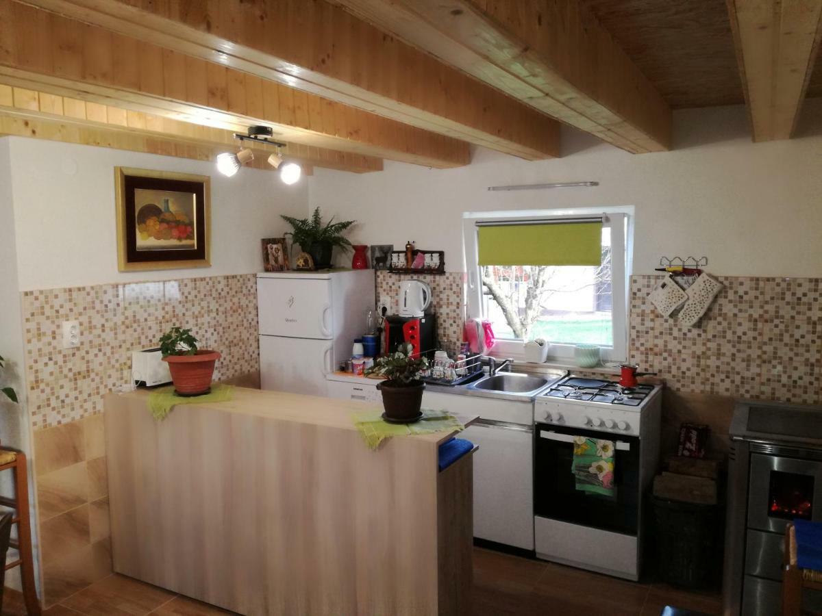 Kuca Za Odmor "Jasna" Apartment Crni Lug Luaran gambar