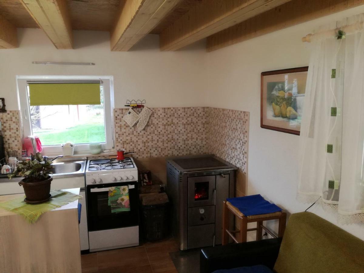 Kuca Za Odmor "Jasna" Apartment Crni Lug Luaran gambar