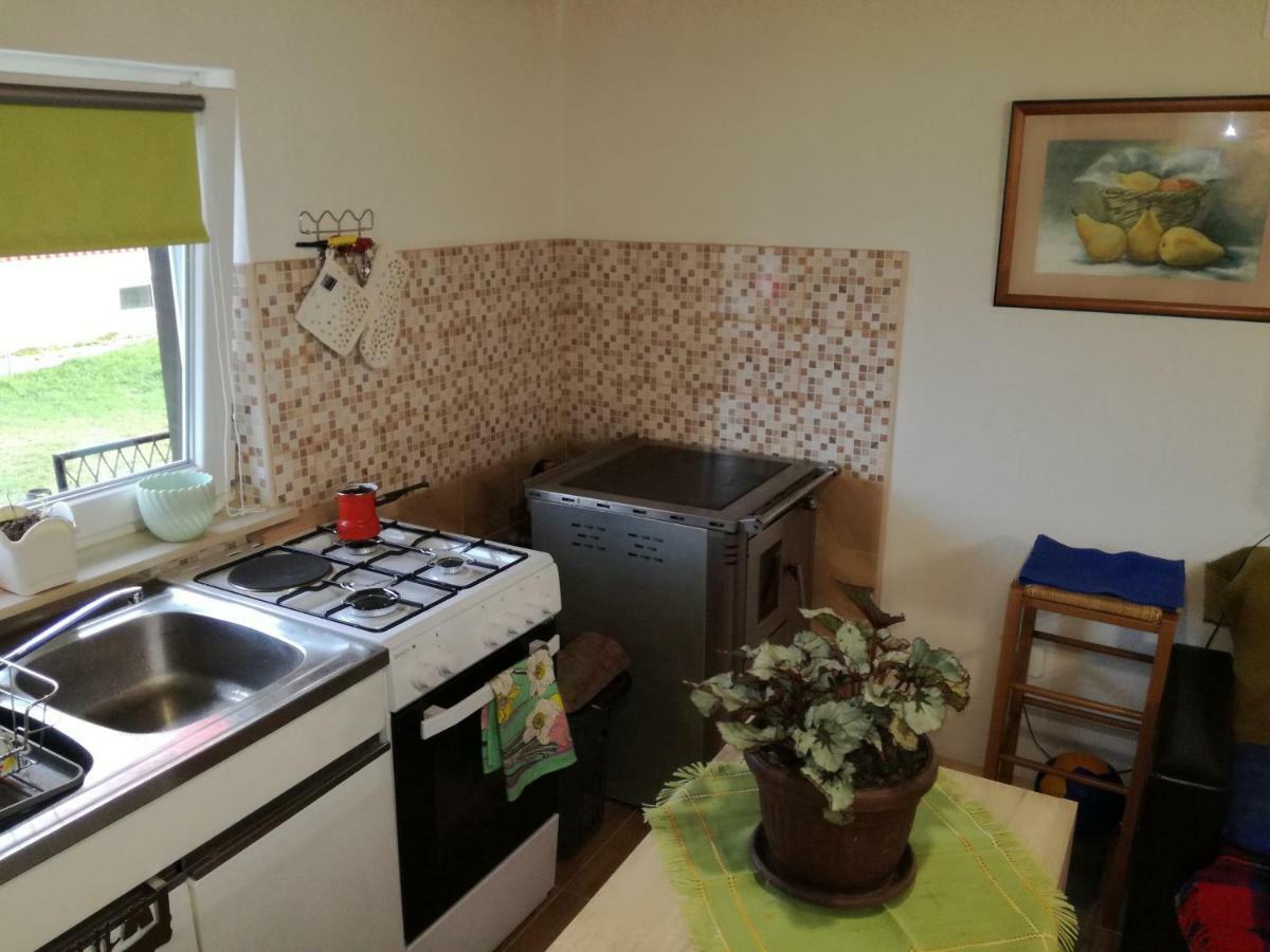 Kuca Za Odmor "Jasna" Apartment Crni Lug Luaran gambar