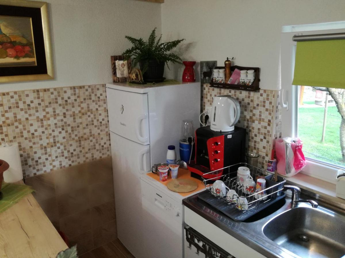 Kuca Za Odmor "Jasna" Apartment Crni Lug Luaran gambar