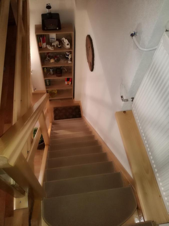 Kuca Za Odmor "Jasna" Apartment Crni Lug Luaran gambar