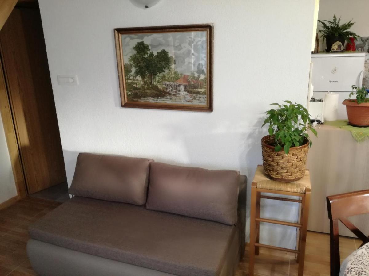 Kuca Za Odmor "Jasna" Apartment Crni Lug Luaran gambar